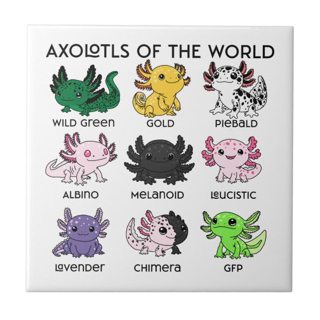 Kawaii Axolotls of the Worlds Ceramic Tile (Front)