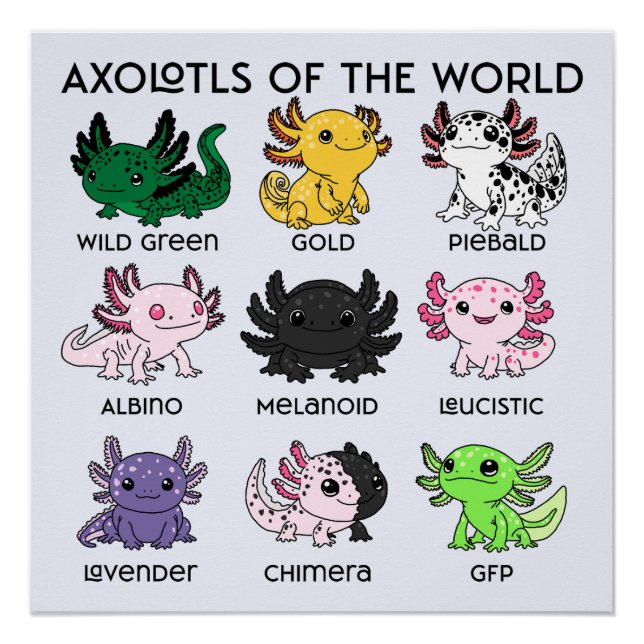 Kawaii Axolotls of the Worlds Poster (Front)