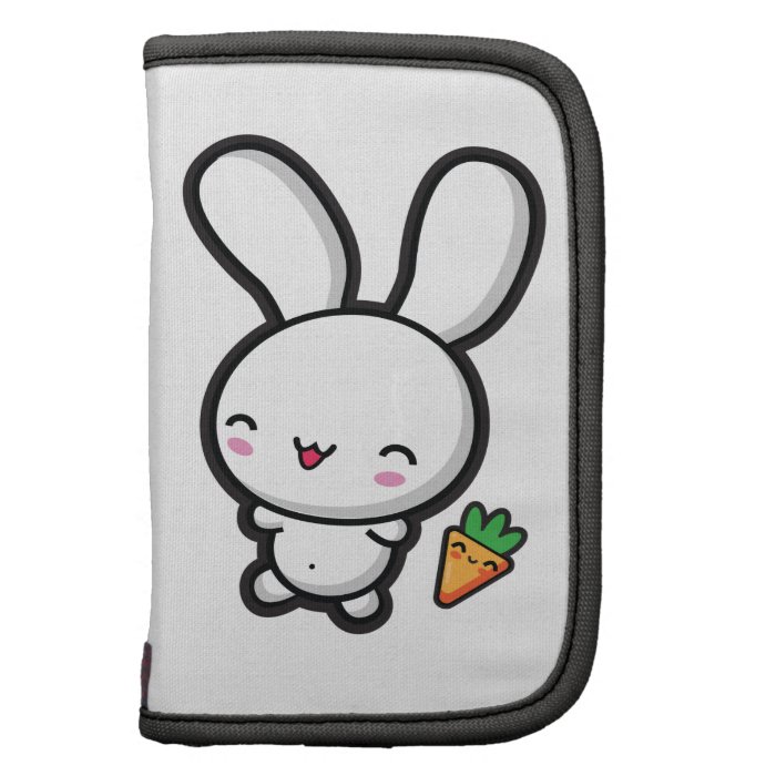 Kawaii Bunny and Carrot Organizers