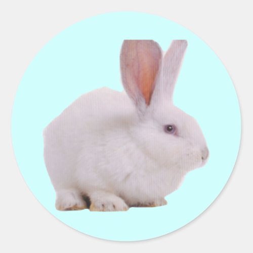 Kawaii Cute Bunny Classic Round Sticker