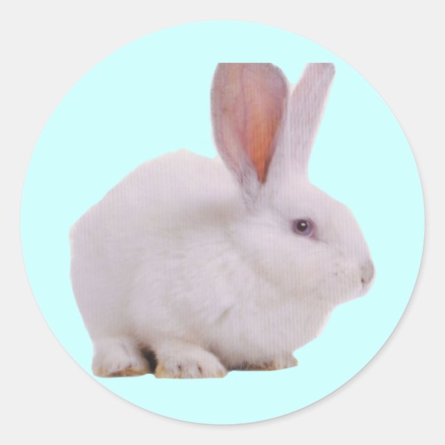Kawaii Cute Bunny Classic Round Sticker (Front)
