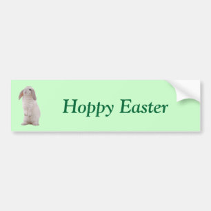 Kawaii Cute Bunny Rabbit Bumper Sticker