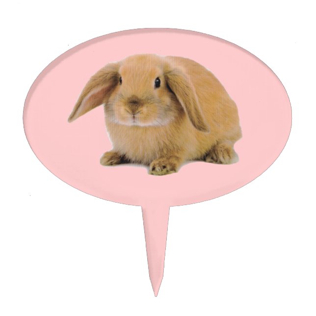 Kawaii Cute Bunny Rabbit Cake Topper (Front)