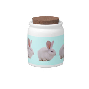 Kawaii Cute Bunny Rabbit Candy Jar