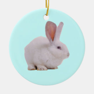 Kawaii Cute Bunny Rabbit Ceramic Ornament