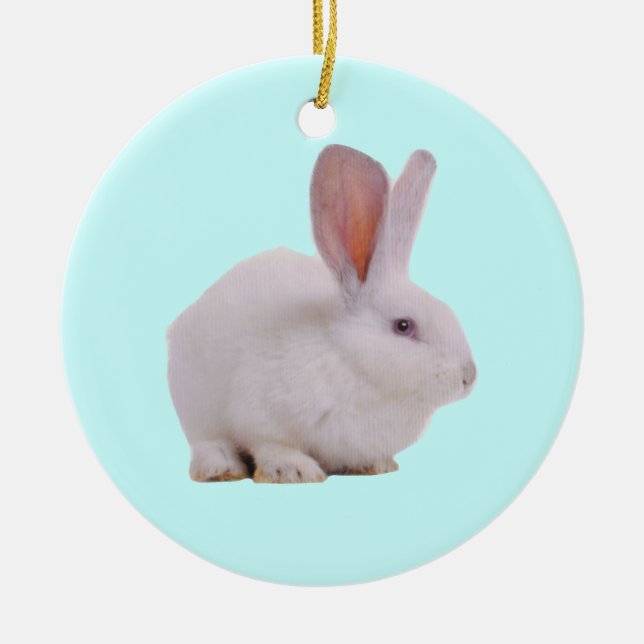 Kawaii Cute Bunny Rabbit Ceramic Ornament (Front)