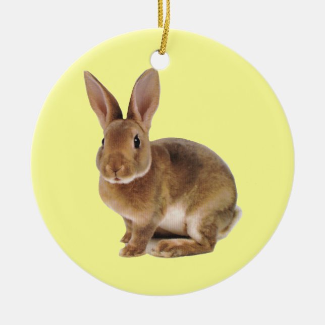 Kawaii Cute Bunny Rabbit Ceramic Ornament (Front)