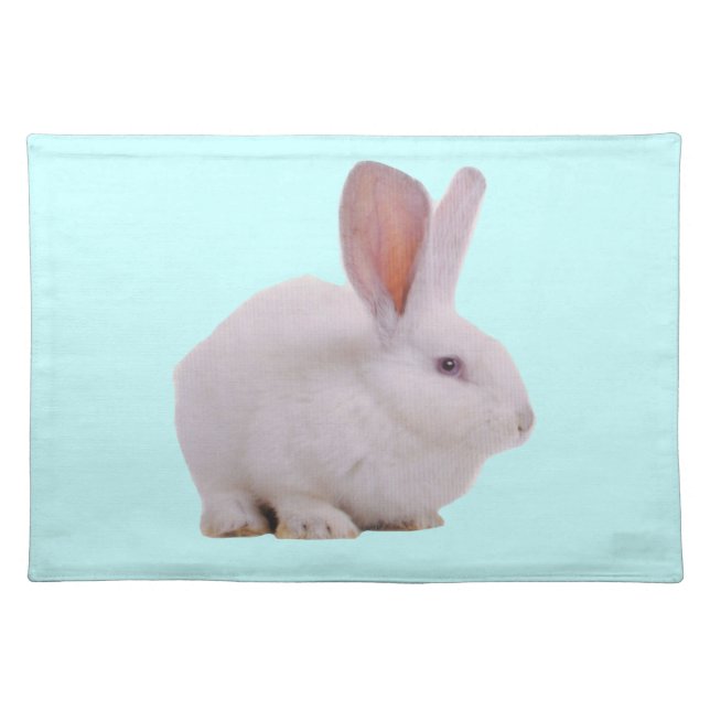 Kawaii Cute Bunny Rabbit Cloth Placemat (Front)