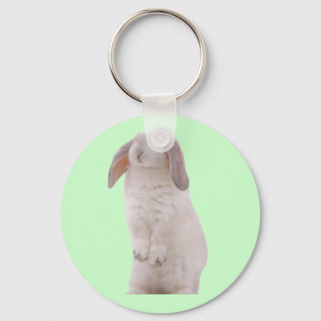 Kawaii Cute Bunny Rabbit Keychain (Front)