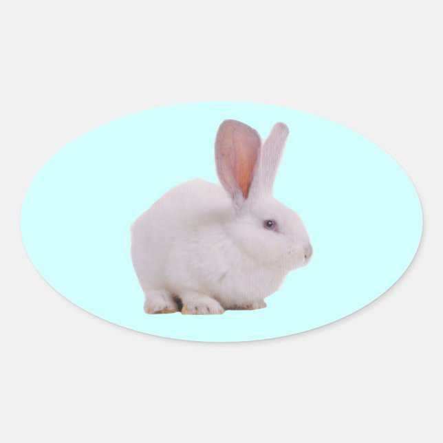 Kawaii Cute Bunny Rabbit Oval Sticker (Front)
