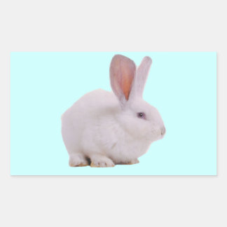 Kawaii Cute Bunny Rabbit Rectangular Sticker