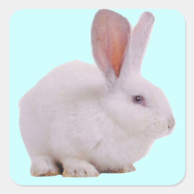 Kawaii Cute Bunny Rabbit Square Sticker (Front)