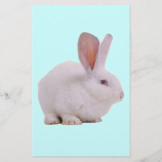 Kawaii Cute Bunny Rabbit Stationery