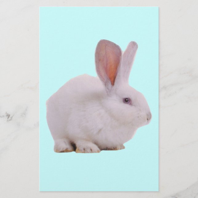 Kawaii Cute Bunny Rabbit Stationery (Front)