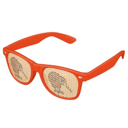 Kawaii Kiwi Retro Sunglasses
