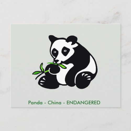 Kawaii PANDA Bear_ Endangered animal_ Green Postcard