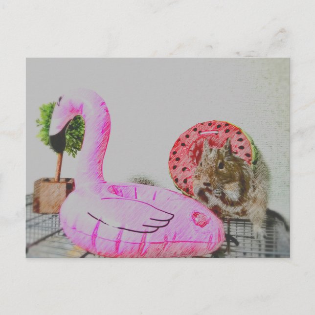 Kawaii ♡small animal postcard (Front)