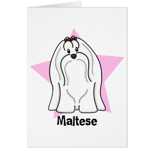 Kawaii Star Maltese Cards (Front)