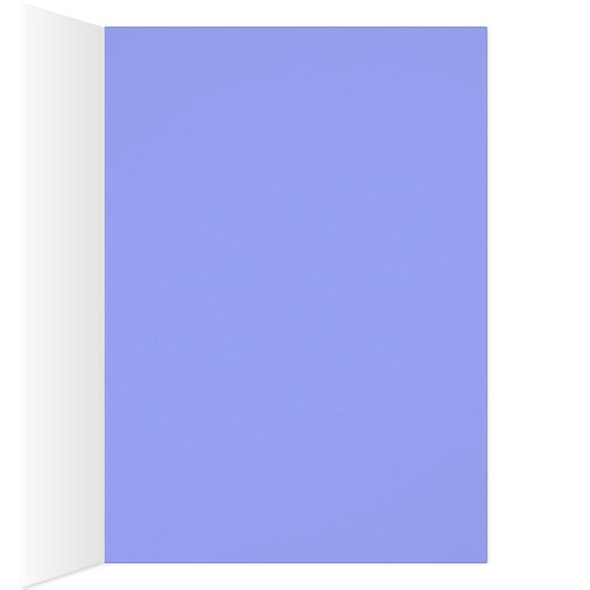 Kawaii Star Swedish Vallhund (Inside (Right))