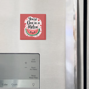 Kawaii "You're One in a Melon" Cute Watermelon Pun Magnet