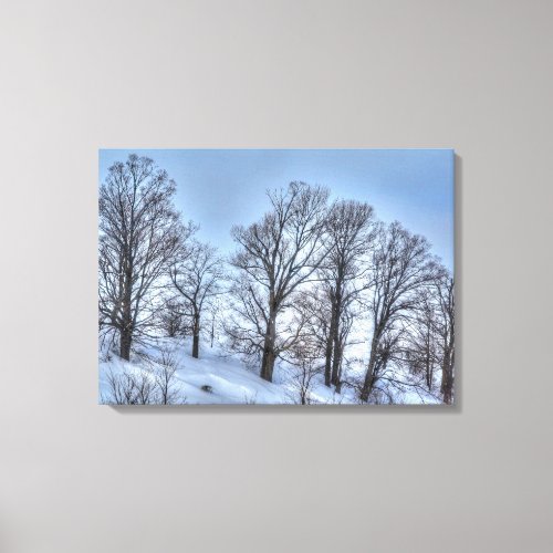 Kawartha Winter Forest Trees Nature Scenic Print