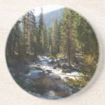 Kaweah River in Sequoia National Park Coaster