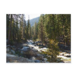 Kaweah River in Sequoia National Park Postcard