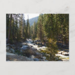 Kaweah River in Sequoia National Park Postcard
