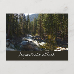 Kaweah River in Sequoia National Park Postcard