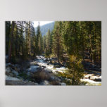 Kaweah River in Sequoia National Park Poster