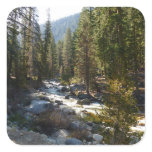 Kaweah River in Sequoia National Park Square Sticker