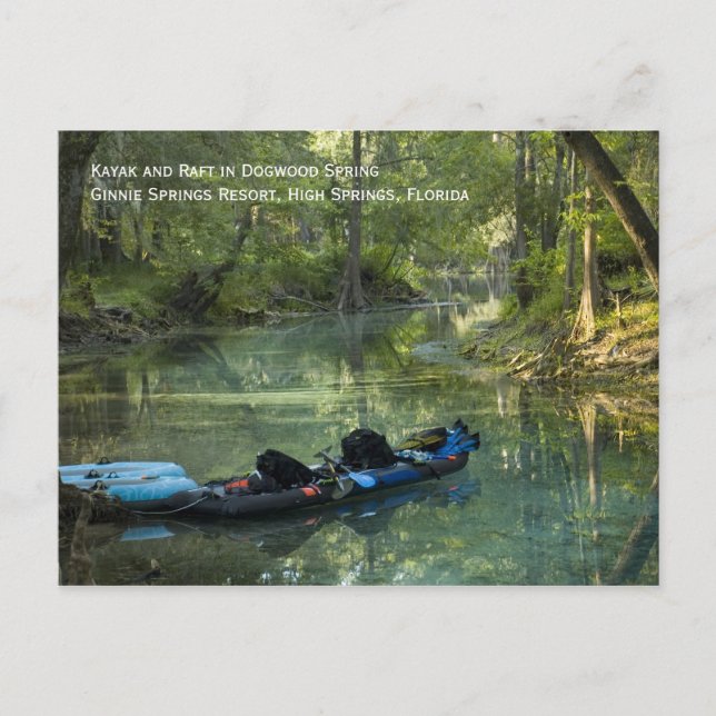 Kayak in Spring Postcard (Front)