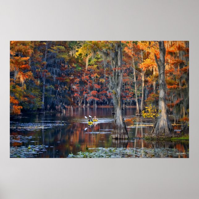 Kayaking - Caddo Lake, Texas - Autumn Poster (Front)