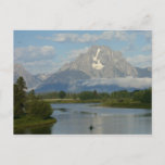 Kayaking in Grand Teton National Park Postcard