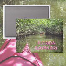 Kayaking Through the Mangroves Florida Adventure