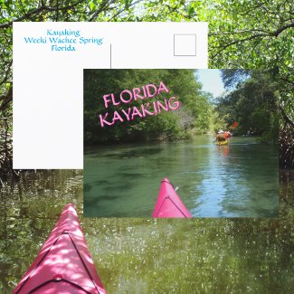 Kayaking Weeki Wachee Spring Florida Adventure