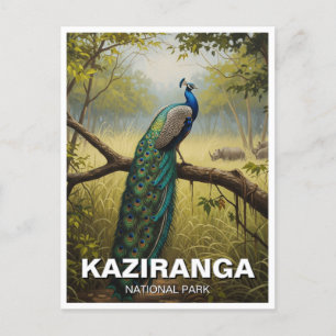Kaziranga National Park Assam India Travel Postcard