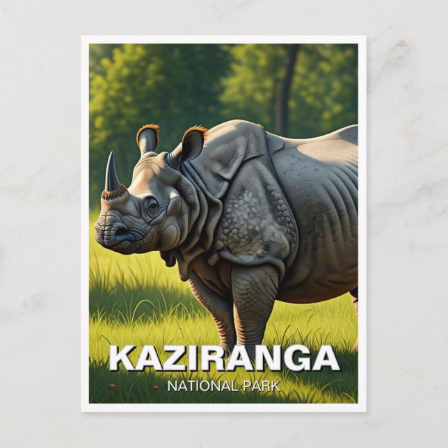 Kaziranga National Park Assam India Travel Postcard (Front)