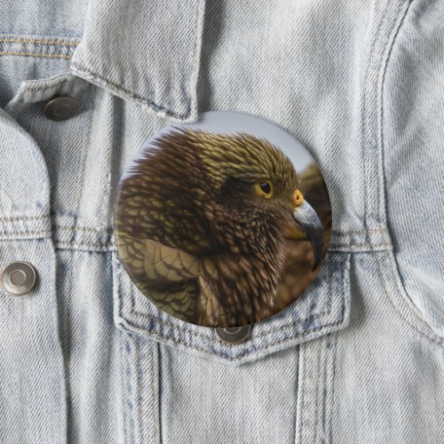 Kea Nestor notabilis Button