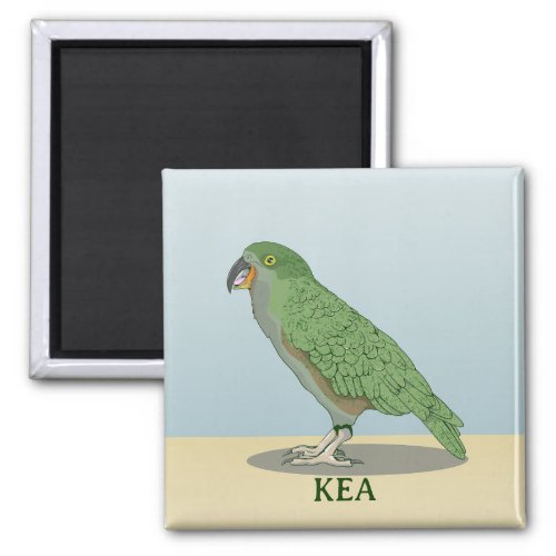 Kea New Zealand Bird Magnet