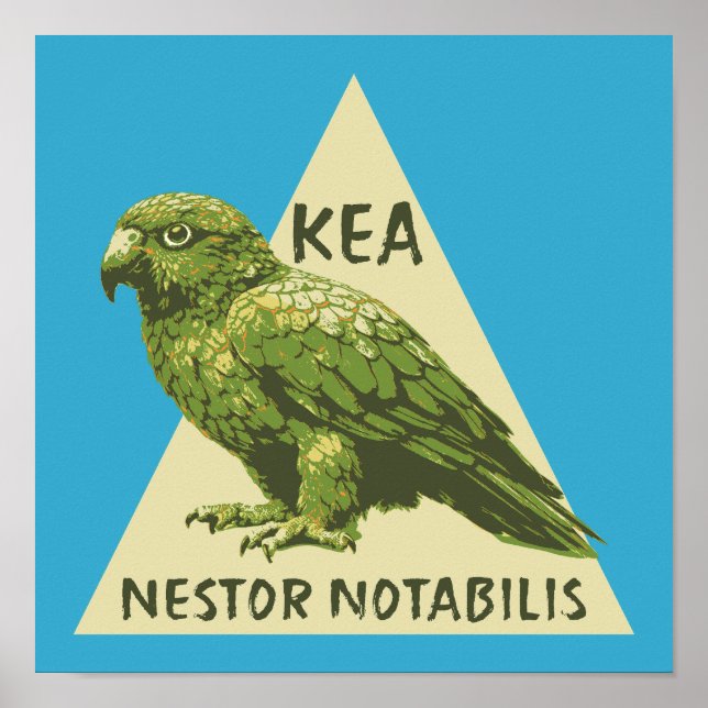 Kea New Zealand bird Poster (Front)