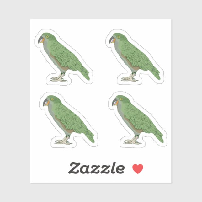 Kea New Zealand Bird Sticker (Sheet)