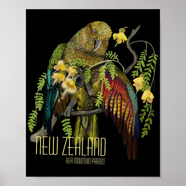 Kea New Zealand Mountain Parrot Poster (Front)
