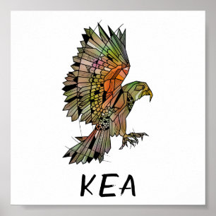 Kea new Zealand Native Bird Poster