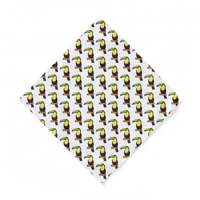 Keel-billed toucan bird cartoon illustration bandana (Front)