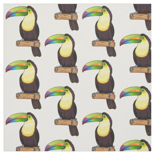 Keel-billed toucan bird cartoon illustration  fabric