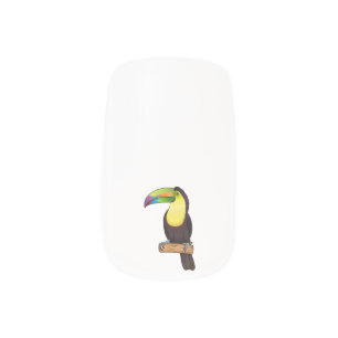 Keel-billed toucan bird cartoon illustration  minx nail art