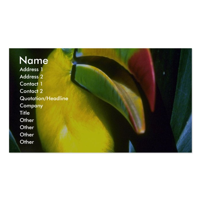 Keel billed toucan business card