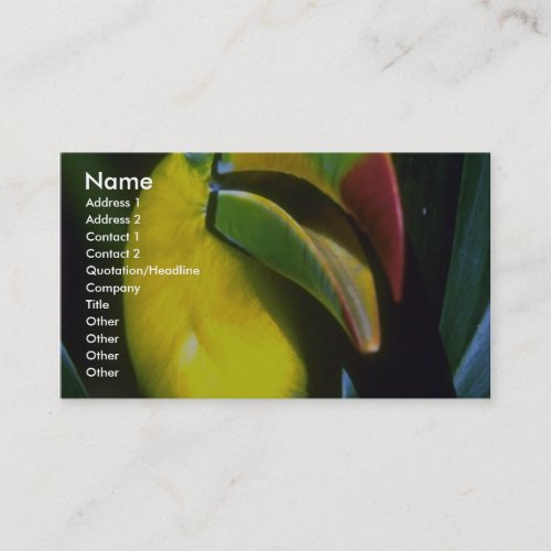 Keel-billed toucan business card