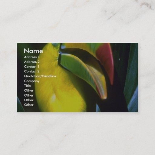 Customizable Keel-billed toucan business card
